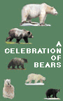 A CELEBRATION OF BEARS