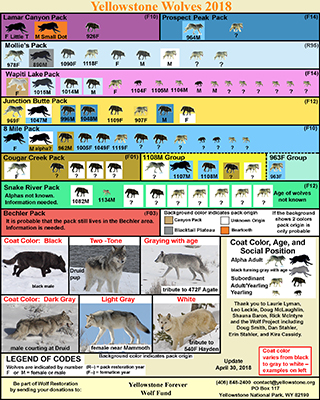 Wolf Chart