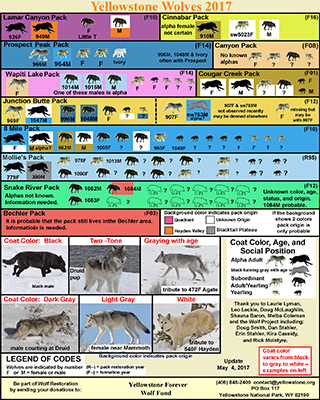 Wolf Chart