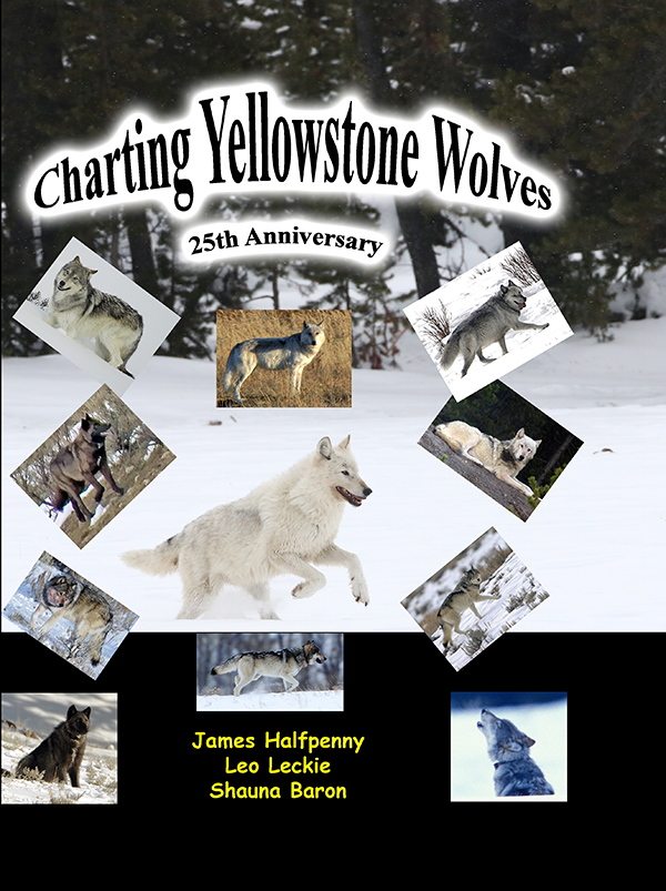 Charting Yellowstone Wolves: 25 Anniversary