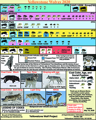 Wolf Chart 2018