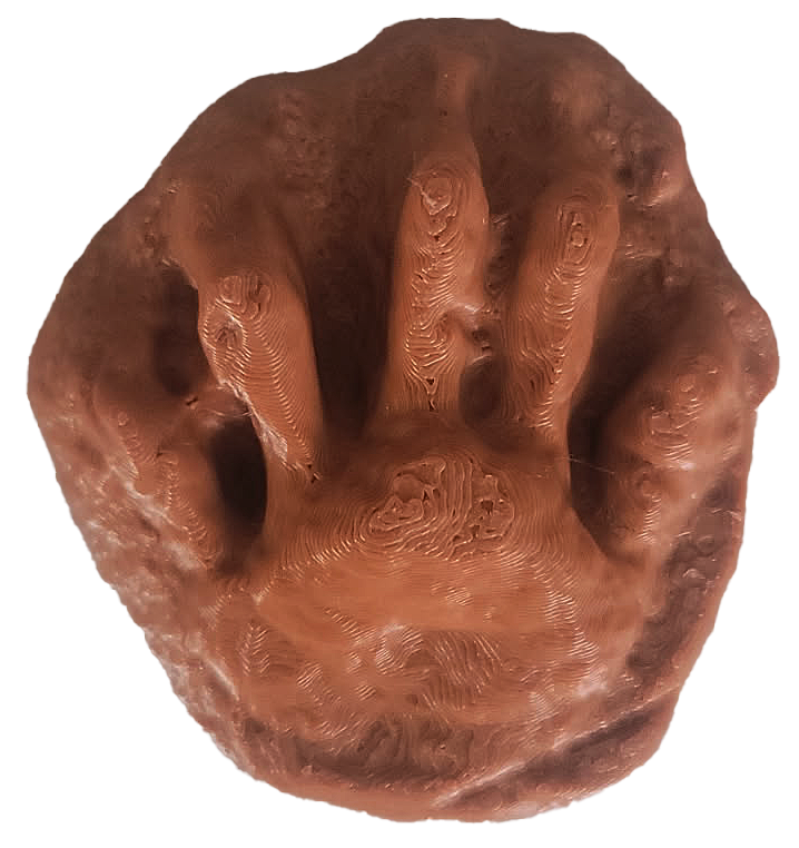 Small Carnivore Cast 2