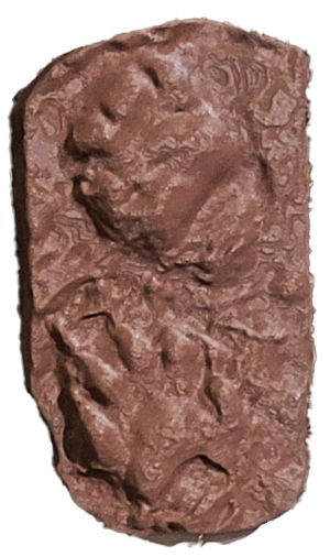 Small Carnivore Cast 1