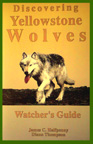 DISCOVERING YELLOWSTONE WOLVES