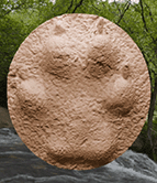 WOLVERINE FOOTPRINT CAST