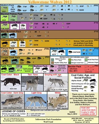 Wolf Chart