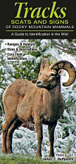 Tracks Scats and Signs of Rocky Mountain Mammal