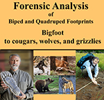 FORENSIC ANALYSIS