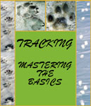 TRACKING: MASTERING THE BASICS